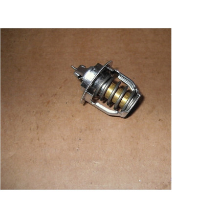 Termostat apa